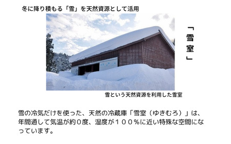  緑茶 茶葉セット 雪室 雪国のお茶 贈答 ギフト 雪室緑茶詰め合わせ 新潟県 糸魚川 正香園