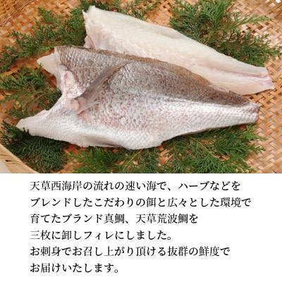 ふるさと納税 天草市 天草荒波真鯛 フィレ 1尾分_S006-004 |  | 01