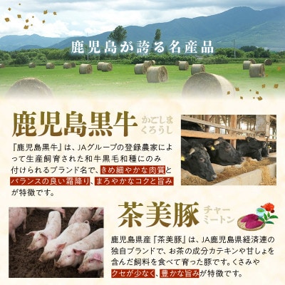 【発送月固定定期便】鹿児島黒牛・茶美豚食べ比べ定期便(南九州市)全3回【配送不可地域：離島】