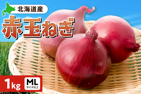 赤玉ねぎ 北海道産 1kg MLサイズ以上