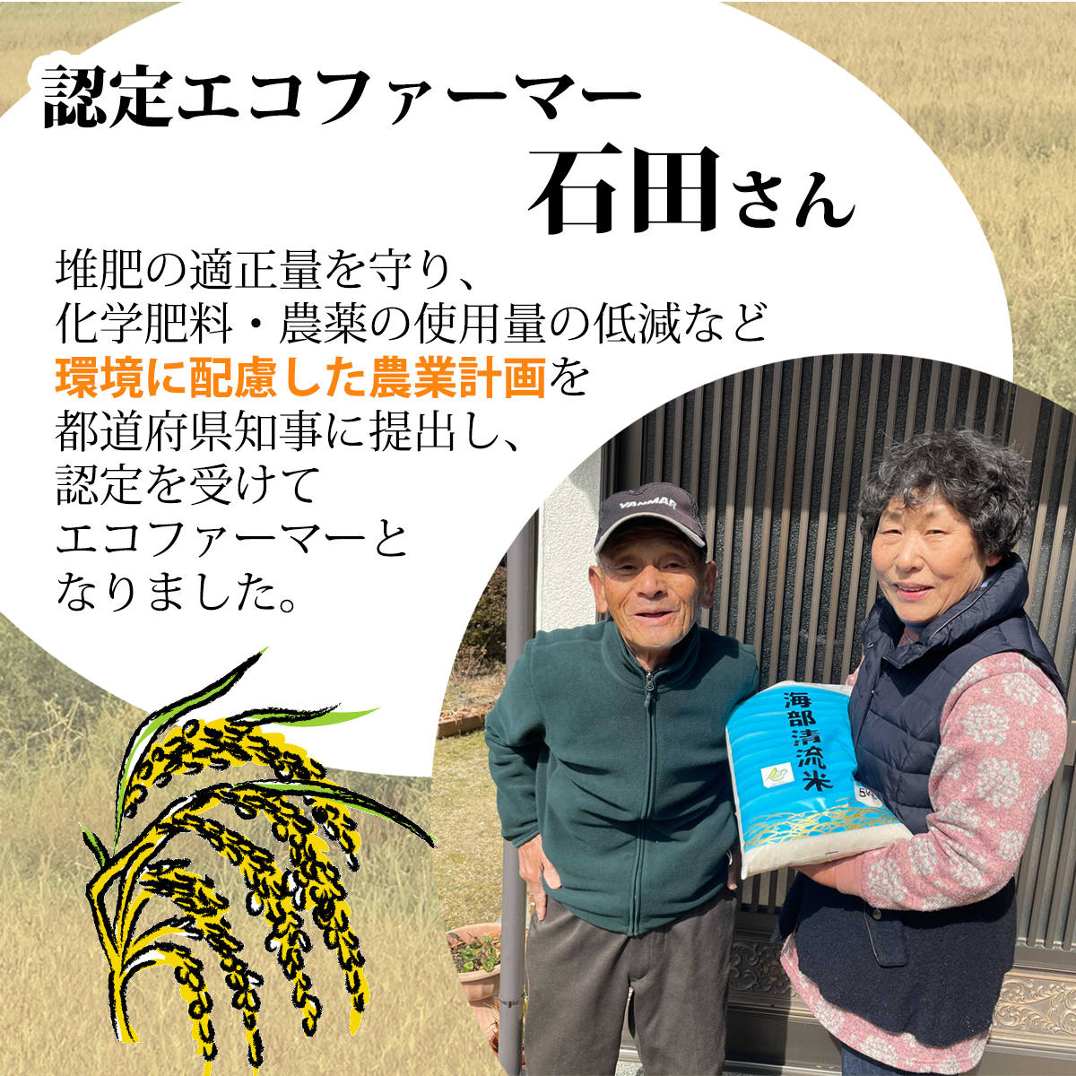 認定エコファーマー栽培！　海部清流米コシヒカリ５kg