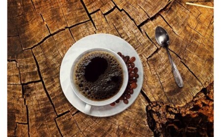 【コーヒー】 『純コーヒーセット （極8g×5、季節限定ブレンド8g×5）＜ぽらりす＞』 豆 珈琲 ギフト J-36