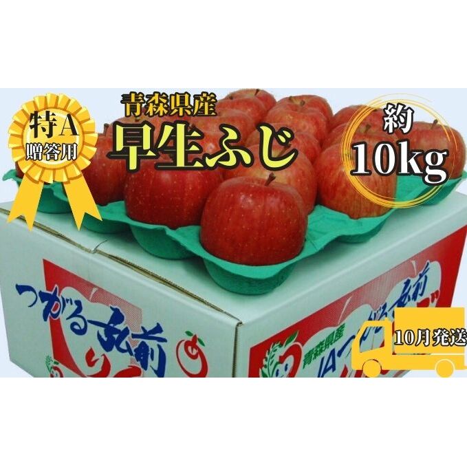 早生ふじ約10kg贈答用【特A】（10月発送）青森県産 果物 りんご 青森りんご 旬のフルーツ 産地直送 