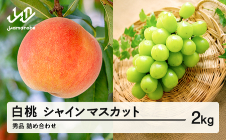 先行予約 山形県産 白桃 シャインマスカット 秀品 詰め合わせ 2kg 2026年産 令和8年産 送料無料 ※沖縄・離島への配送不可 (桃 もも モモ シャイン マスカット 葡萄 ぶどう ブドウ 果物