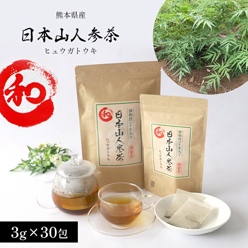 【ふるさと納税】熊本県産 日本山人参茶 （ヒュウガトウキ） 30包 植物茶 茶 お茶 飲料 お歳暮 ギフト 国産 熊本県