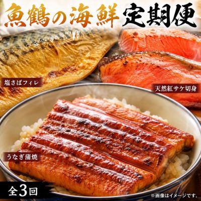 ふるさと納税 由良町 【毎月定期便】魚鶴商店が選ぶ人気お魚B(サバフィレ・うなぎ蒲焼・紅鮭切身)全3回