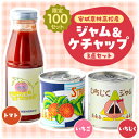 【ふるさと納税】限定100セット【安城農林高校産】高校生が作ったいちごジャム・いちじくジャム・トマトケチャップ【配送不可地域：離島】【1480183】