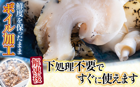 根室海鮮市場＜直送＞【北海道根室産】生食用灯台つぶ(ボイル済)250g×2P(計500g) G-28040