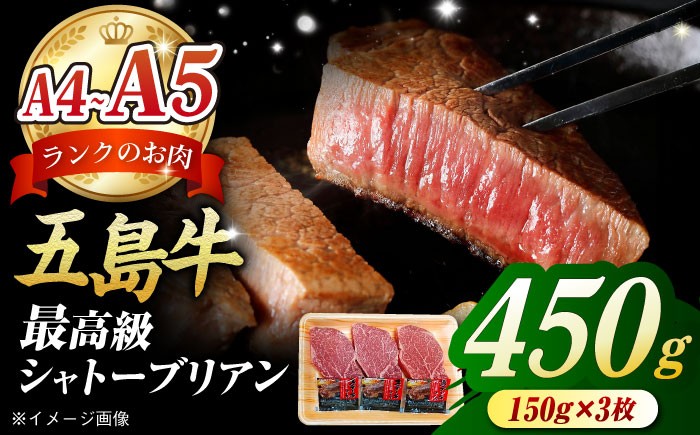 
            【毎月数量限定】五島牛 シャトーブリアン 450g 150g × 3枚 五島市 / 肉のマルヒサ [PCV039] 九州 牛肉 ヒレ フィレ ヘレ A4 A5 長崎 牛ヒレ 牛 国産牛
          
