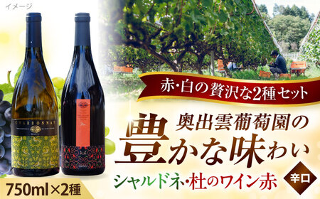 シャルドネ・杜のワイン赤  奥出雲葡萄園 [AICS005] ワイン