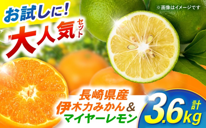 
                  ※【2026年12月上旬より順次発送／先行予約】【大人気みかんとレモンのお試しセット】伊木力みかん(家庭用)1.8kg マイヤーレモン1.8kg 計3.6kg / みかん ミカン 蜜柑 mikan 柑橘 かんきつ レモン れもん 檸檬 果汁 果物 / 諫早市 / 山野果樹園 [AHCF016]
                