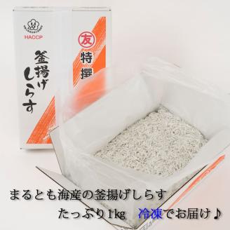 茹でたて釜揚げしらす　1kg箱入り【冷凍】無添加・無着色 / しらす シラス 釜揚げ 冷凍【mar112】