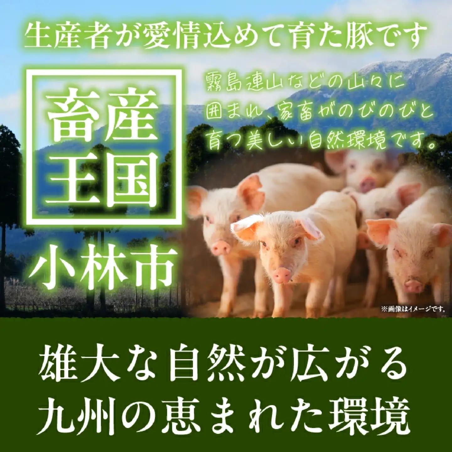 【定期便全6回】生活支援定期便15.5kg(豚切り落とし 豚バラスライス 豚肩ロース しゃぶしゃぶ 肩ロース生姜焼き 豚ロースとんかつ 豚モモウデ切り落とし 国産 九州産）