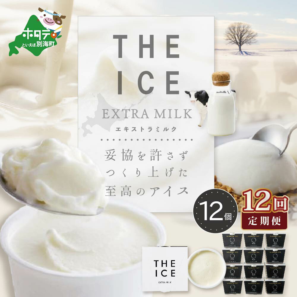 【ふるさと納税】【毎月定期便】【THE ICE】エキストラミルク12個×12ヵ月定期便（J FARM AMUSE 株式会社）