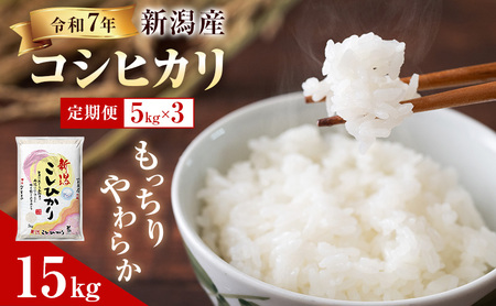【定期便 3ヶ月】新潟県産 コシヒカリ 5kg×3回 (計15kg) 令和7年産 米 お米 こしひかり 精米 白米 新潟 毎月お届け