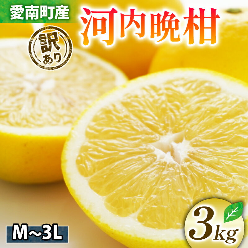 【ふるさと納税】 訳あり 河内晩柑 3kg お試し 発送期間: 2025年3月10日〜7月10日　(なくなり次第終了) 6000円 愛媛 愛南 清家ばんかんビレッジ