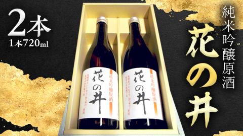 【桜川市限定コラボ】《花の井 純米吟醸 原酒 2本セット＆つくばスタージョン キャビア 20g×1瓶 》 酒 お酒 日本酒 高級食材 記念日 誕生日 世界三大珍味 国産キャビア [BR012sa]