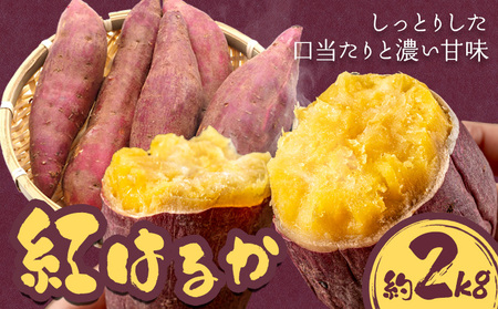 【先行予約】さつまいも 紅はるか 約2kg 株式会社シグマサポート《2026年10月中旬-12月中旬頃出荷予定(土日祝除く)》さつまいも