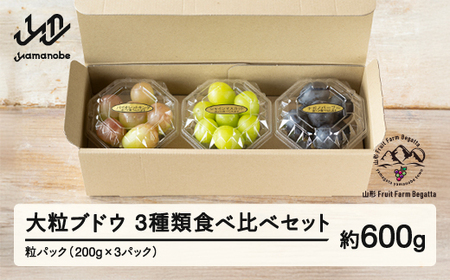 《先行予約》2025年 山形県山辺町産 大粒ブドウの3種類食べ比べセット！粒パック600g（200g×3）シャインマスカット 雄宝 ナガノパープル バイオレットキング マイハート 富士の輝 我が道 マスカットノワール マスカサーティーン スカーレット クイーンセブン 2025年9月中旬から順次発送 F21A-242