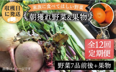 【全12回定期便】こだわり 野菜 （7品前後） セット ＋ 果物 《糸島》【オーガニックナガミツファーム】 [AGE013] 野菜セット 野菜セット 野菜セット 野菜セット 野菜セット 野菜セット 野菜セット 