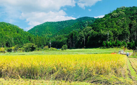 【京都岩倉坂原米作りプロジェクト】京都さかばら 角質ケアハンドクリーム(60g×1本)｜美容 コスメ 人気［ 京都 人気 おすすめ 米 コメ ギフト プレゼント 贈答 お取り寄せ 通販 送料無料 ふる