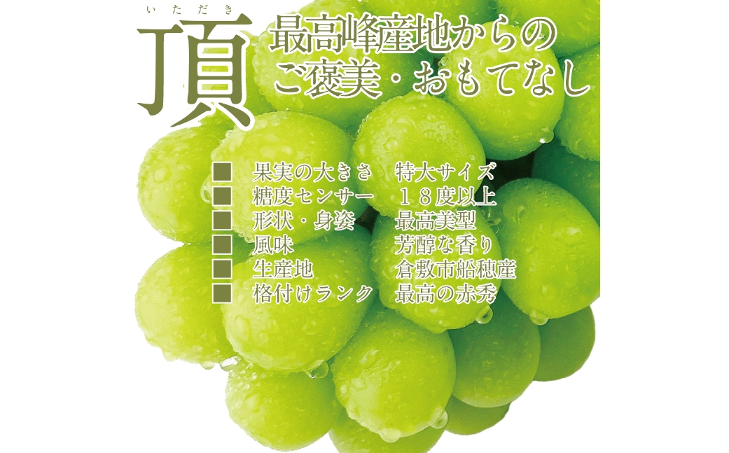  【2回定期便】プレミアム シャインマスカット 晴王 2房約1.2kg