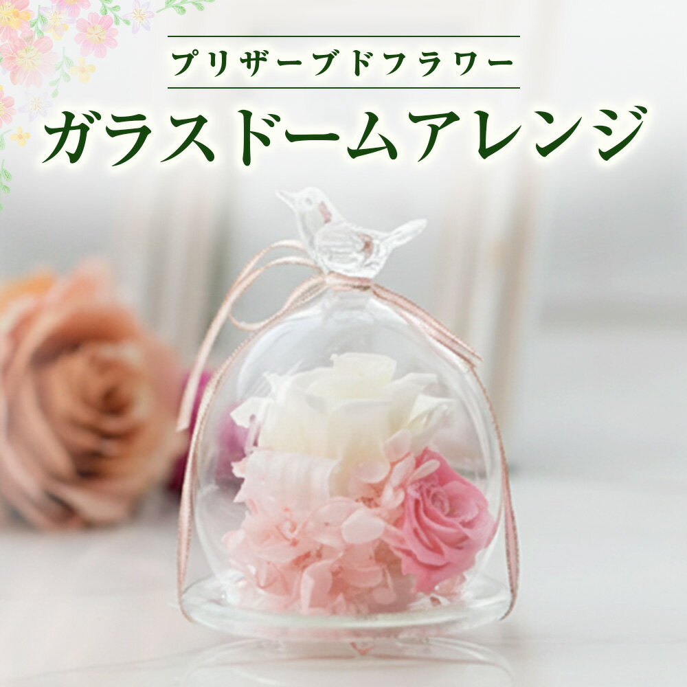 【ふるさと納税】空気をきれいにする プリザーブドフラワー ガラスドーム アレンジ 贈り物 プレゼント ギフト 贈り物 花