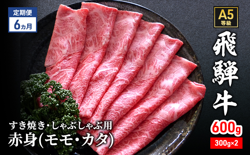 【定期便6ヶ月】牛肉 飛騨牛 すき焼き しゃぶしゃぶ セット 赤身 モモ 又は カタ 600g 黒毛和牛 A5 美味しい お肉 牛 肉 和牛 すき焼き肉 すきやき すき焼肉 しゃぶしゃぶ肉 【岐阜県瑞穂市】