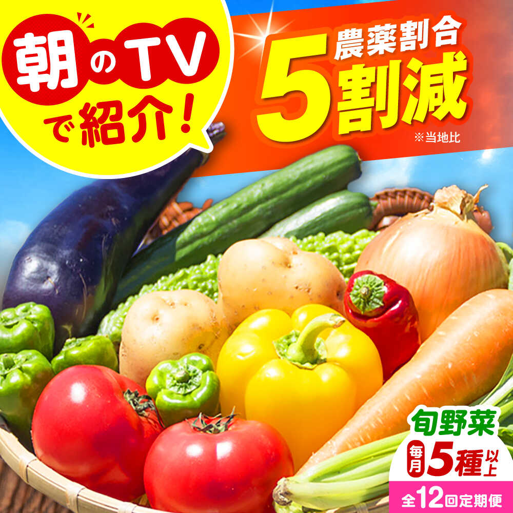 【ふるさと納税】【全12回定期便】 米ぬかで育てた！旬のお野菜セット 詰合せ 詰め合わせ 新鮮 産地直送 おまかせ やさい 野菜セット 野菜 旬野菜 旬 人気 お取り寄せ 野菜詰め合わせ 野菜セット ご当地 自家製 直送 農家 定期便大阪府高槻市/ベジ彩ファーム[AOEJ007]