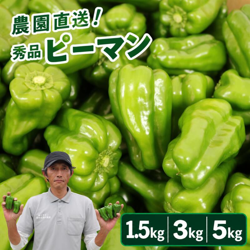 【ふるさと納税】 【 選べる 】秀品 ピーマン 1.5kg or 3kg or 5kg ぴーまん 国産 野菜 やさい 新鮮野菜 旬 産地直送 農園直送 お取り寄せ おかず 食品 食材 炒め物 肉詰め サラダ 天ぷら BBQ バーベキュー お弁当 大容量 高知県 南国市