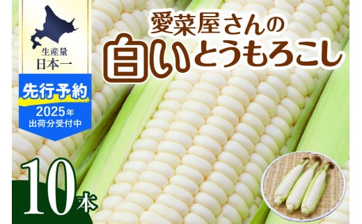 【先行予約】【2025年産】北海道十勝芽室町 とうもろこし 10本 ホワイト種 me002-005c-25