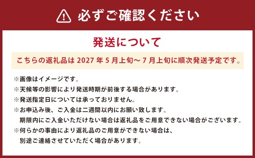 ＜ R8年熊本地震復興支援 ＞肥後グリーン メロン 2玉入 3L以上 (1玉あたり1.6kg以上) 【2027年5月上旬～7月上旬迄順次発送予定】