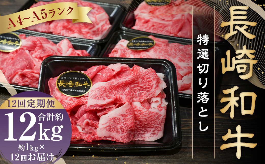 【全12回定期便】【A4～A5ランク】長崎和牛 特選 切り落とし 約1kg (200g×5パック) お肉 牛肉 肉 牛 和牛 国産牛 国産