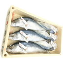 【ふるさと納税】 鯖 さば 魚 塩サバ 丸ごと 焼津 冷凍 6本入 天然 伝統の塩さば しめ鯖に 鯖寿司に a17-090