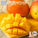 【ふるさと納税】【訳あり】【期間設定】 鹿児島県産 マンゴー 1kg 2～3玉でお届け 先行予約 期間限定 フルーツ 果物 トロピカルフルーツ トロピカル 完熟マンゴー 温泉マンゴー 濃厚 甘い 産地直送 規格外 鹿児島県 【財宝】 A1-22528