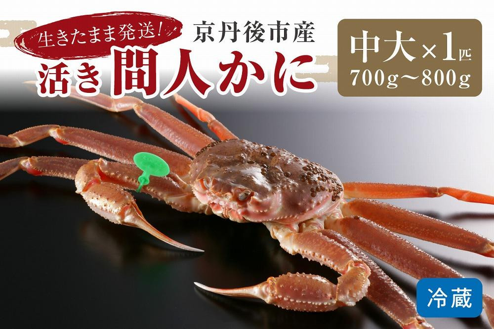
            かに卸し問屋がお届け・浜競り厳選！幻の活間人ガニ 700ｇ～800ｇ 中大サイズ/北畿水産　HK00224・HK00228
          