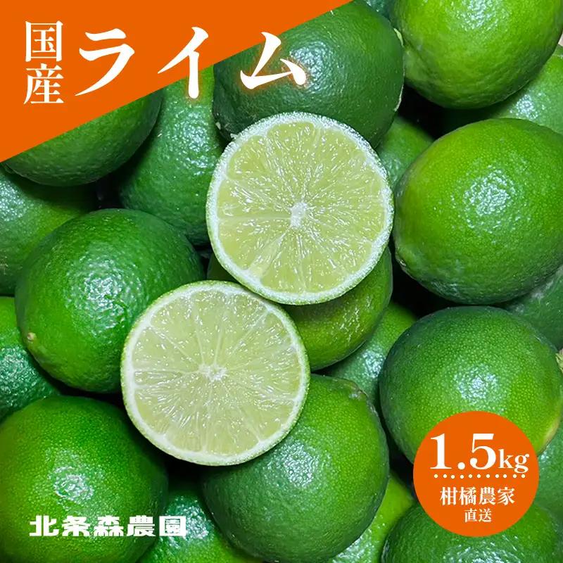 【2026年9月中旬頃から順次発送】さわやか果実 ライム 約1.5kg | ライム みかん 柑橘 国産ライム ジュース カクテル スイーツ サラダ 愛媛 松山 北条 果物 フルーツ 産地直送【HMN012】