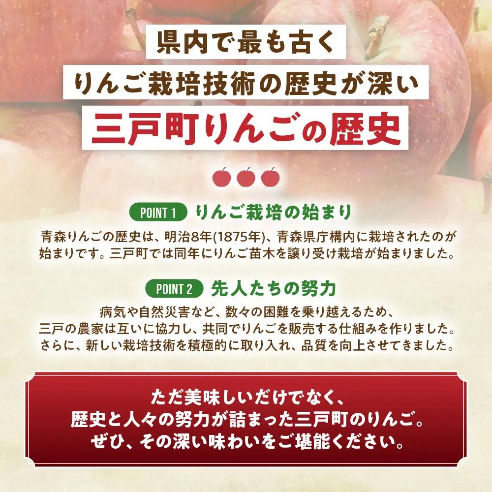 【詰め合わせ３種】青森県産りんご ＜サンふじ 王林 シナノゴールド＞ 約5kg 11月下旬～ りんご