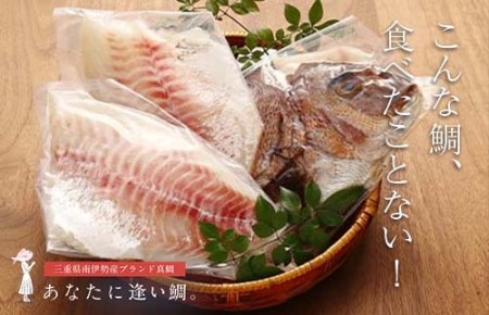 冷蔵 ジュワっととろける！甘みあるブランド真鯛【3枚おろし ｽｷﾝﾚｽ】 / 鯛刺身