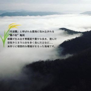 無洗米 10kg （5kg×2袋） 京都丹波産 ヒノヒカリ ※受注精米《米 白米 ひのひかり ふるさと納税 無洗米 亀岡そだち》 ※北海道・沖縄・離島への配送不可