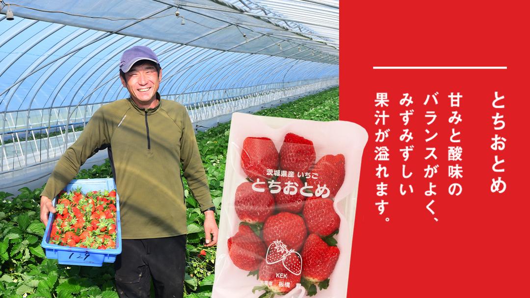 完熟 とちおとめ 4パック 先行予約 大粒 イチゴ 苺 いちご フルーツ 果物 [AF057ci]