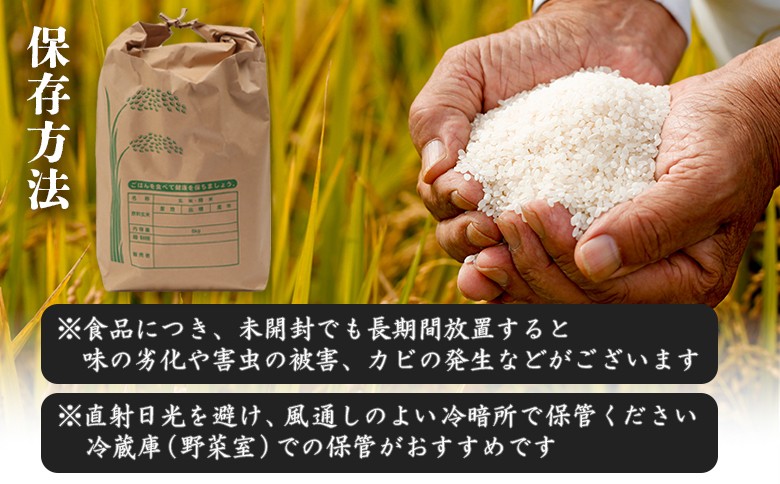 【新米予約】 2026年産 ゆめぴりか 20kg（5kg×4袋）
