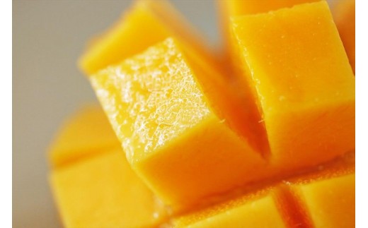 《先行予約》沖縄県宮古島産 減農薬栽培マンゴー 1kg【最良品】｜贈答用・糖度15度以上！｜琉球マルシェ