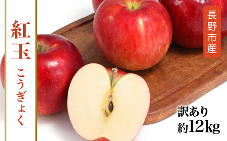 紅玉訳アリ12kg りんご 長野市産 フルーツ