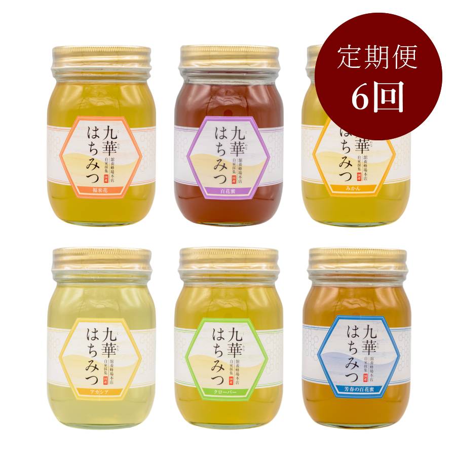 ＜舘養蜂場本店＞「九華はちみつ」【6カ月定期便】