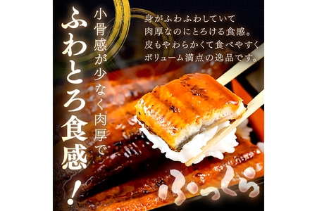 【14営業日以内発送】超特大！ふっくら肉厚！うなぎ蒲焼 1尾 400g前後 ＜鰻の蒲焼き ウナギのかば焼き 超特大うなぎのかばやき 肉厚うなぎのカバヤキ スタミナ 土用の丑の日うなぎ 小分けうなぎ 温