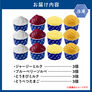 とうべつジェラート 12点セット アイス ジェラート デザート