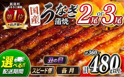 
                  ＜選べる!!数量＆配送期間＞うなぎ 鰻楽 国産 蒲焼 2尾 3尾 父の日 土用 丑の日 3営業日以内出荷 無頭 高評価 おすすめ 冷凍 簡単調理 個包装 鰻 魚介 贈答品 ギフト 贈り物【B555-C444-mult】
                