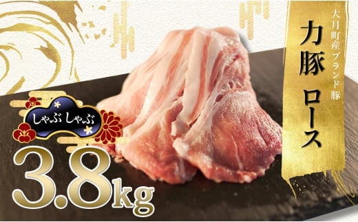 
            国産 豚肉 ロース しゃぶしゃぶ3.8kg (200g×19P)｜力豚 小分け 使いやすい ブランド豚 冷しゃぶサラダ 豚しゃぶ 鍋 時短  真空パック 冷凍 ポーク 大容量 お取り寄せ 簡単調理 ご当地 配達日指定可 おすすめ 人気 高知県 大月町
          