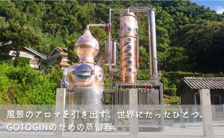 【全12回定期便】 GOTOGIN クラフトジン 酒 ジン スピリッツ 瓶 椿 つばき ツバキ 五島市/（株）五島つばき蒸溜所[PEW004]